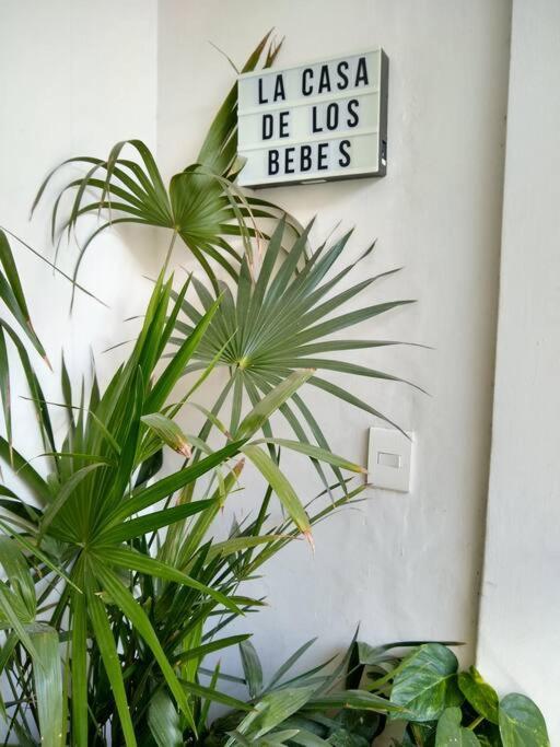 과달라하라 Casa Cuauhtemoc 빌라 외부 사진
