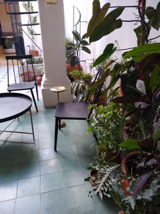 과달라하라 Casa Cuauhtemoc 빌라 외부 사진