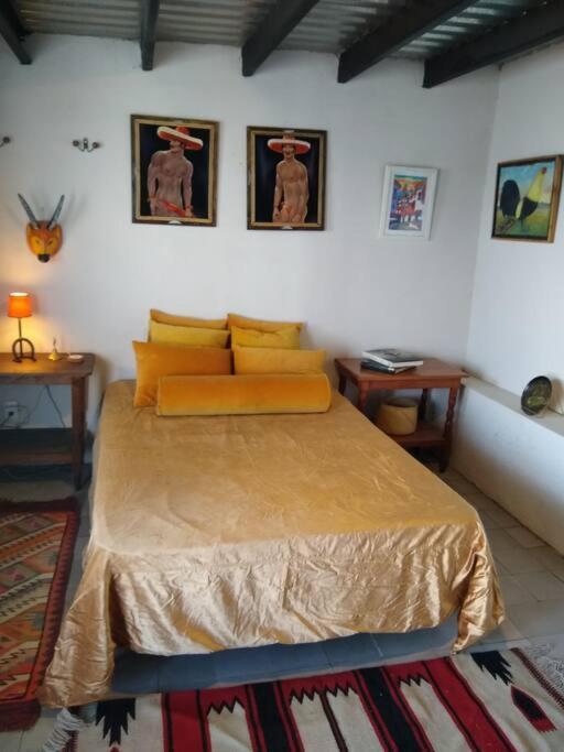 과달라하라 Casa Cuauhtemoc 빌라 외부 사진