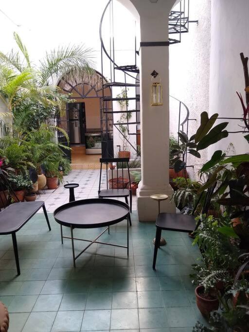 과달라하라 Casa Cuauhtemoc 빌라 외부 사진