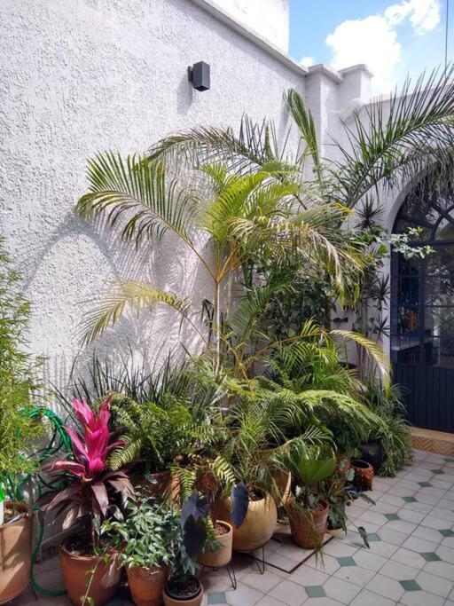 과달라하라 Casa Cuauhtemoc 빌라 외부 사진