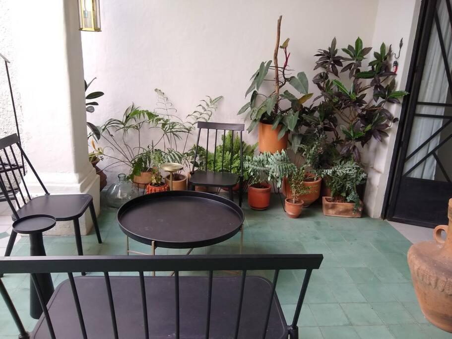 과달라하라 Casa Cuauhtemoc 빌라 외부 사진