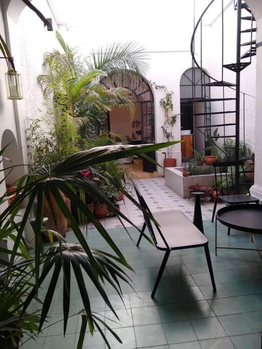 과달라하라 Casa Cuauhtemoc 빌라 외부 사진
